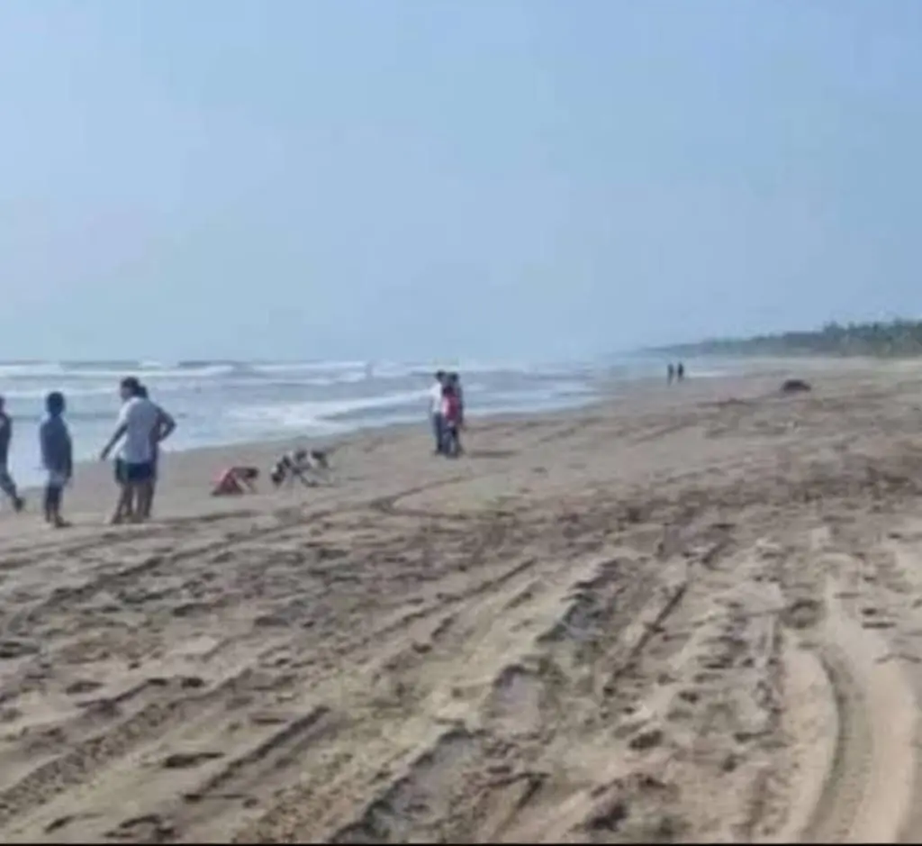 Rescatan a dos turistas de morir ahogados en playa San Juan de Alima, en Aquila
