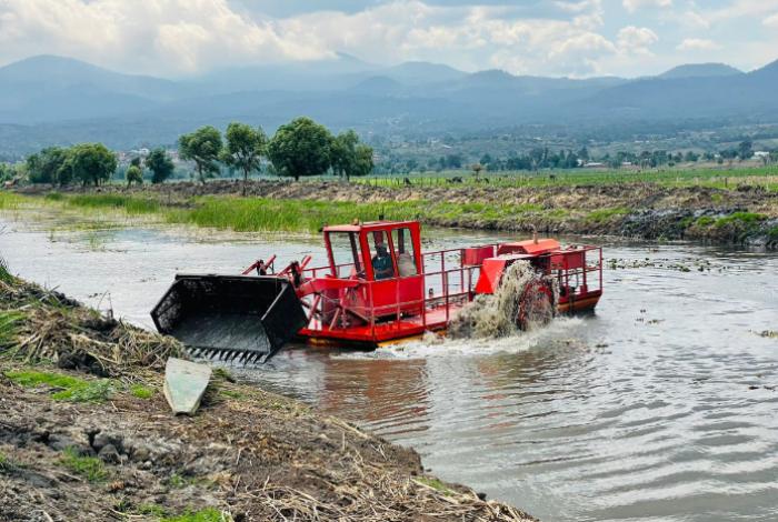 Rescate del canal de Erongarícuaro revitaliza ecosistema y economía local: Compesca