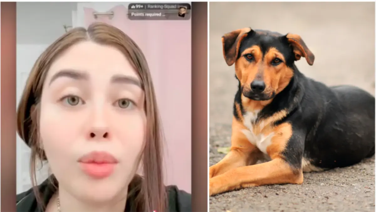 Ritual con sacrificio animal pone bajo escrutinio a funcionaria municipal