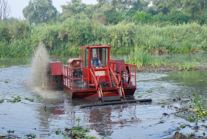 Se consolida el rescate del lago de Pátzcuaro; concluyen obras en el canal de Erongarícuaro: Bedolla