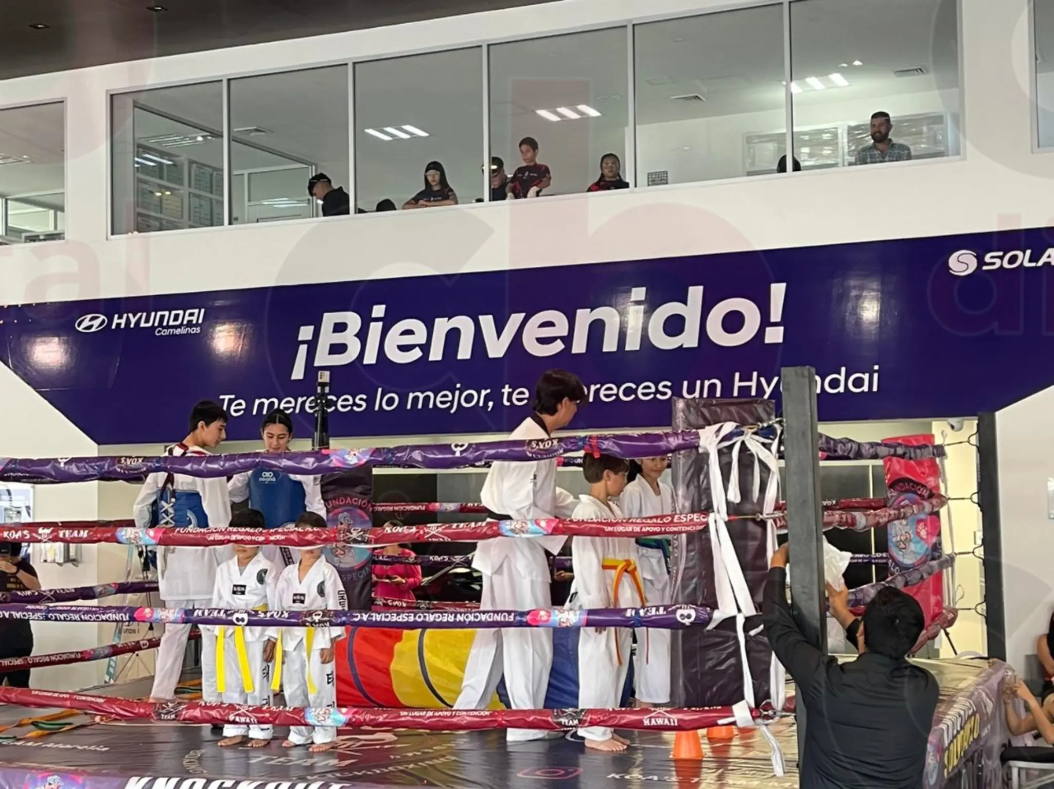 Se lleva acabo la segunda edición Knocout solidario 2 con un gran éxito