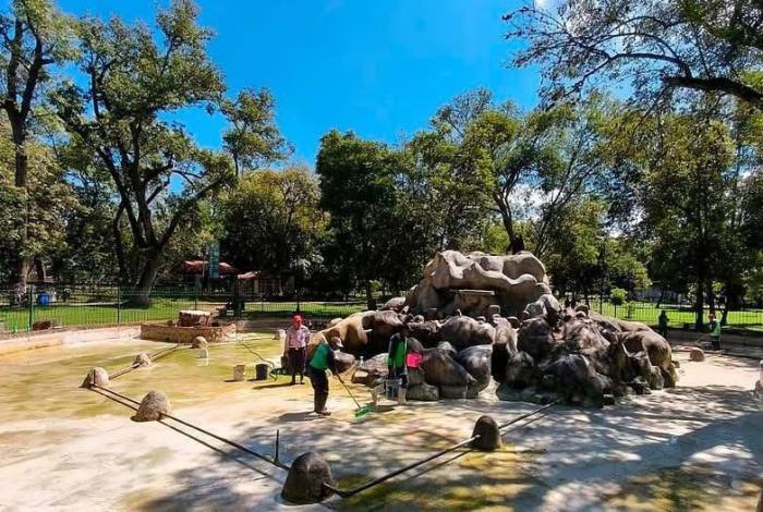 Se llevan a las 22 aves de la Fuente de los Patos; van a ponerla bonita