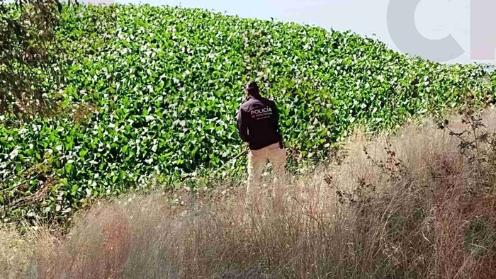 Se realiza búsqueda intensa en la presa de Cointzio, para encontrar a Rosario