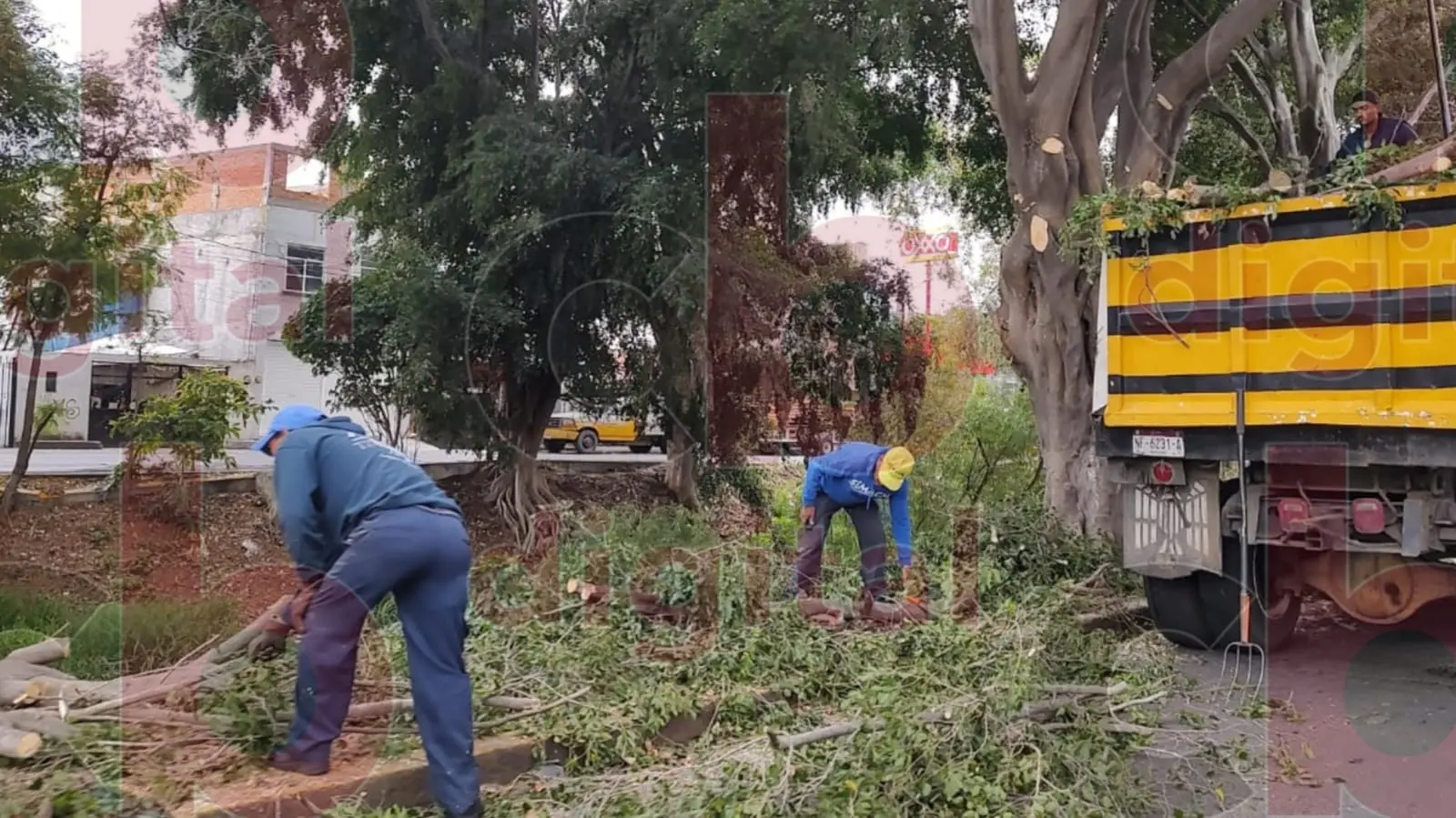Se realiza poda sanitaria y limpieza en 2.5 kilómetros del Río Chiquitito