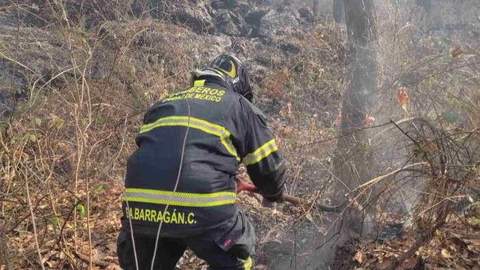 Se registra fuerte incendio en el Bosque de Tlalpan