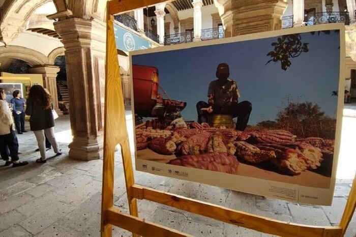 SeCultura Morelia llevó los museos a las calles con diversas exposiciones en 2024