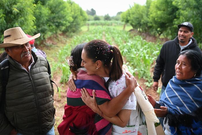 Sembrando Vida recupera la milpa y genera ingresos para las familias: Sheinbaum