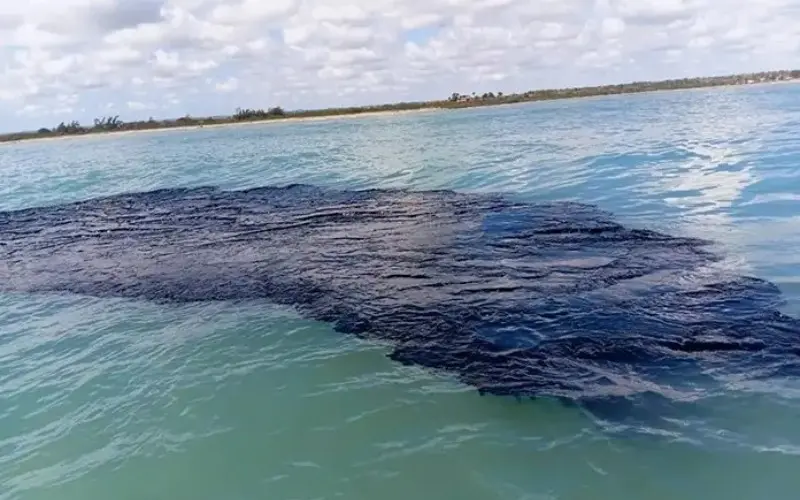 Señalan omisión del gobierno mexicano ante derrame petrolero en el Golfo