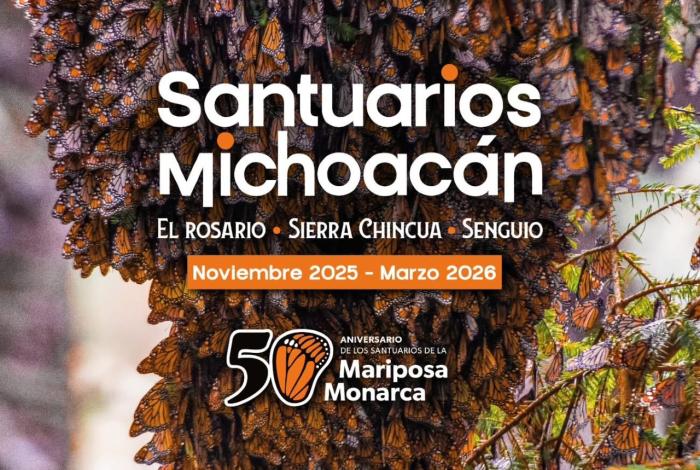 Senguio invita a visitar santuario de las Mariposas Monarca esta temporada: Sectur