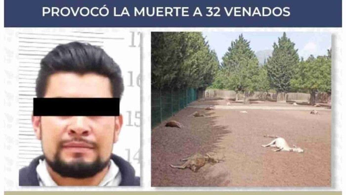 Sentencian al hombre que utilizó a su perro para matar 32 venados en Puebla