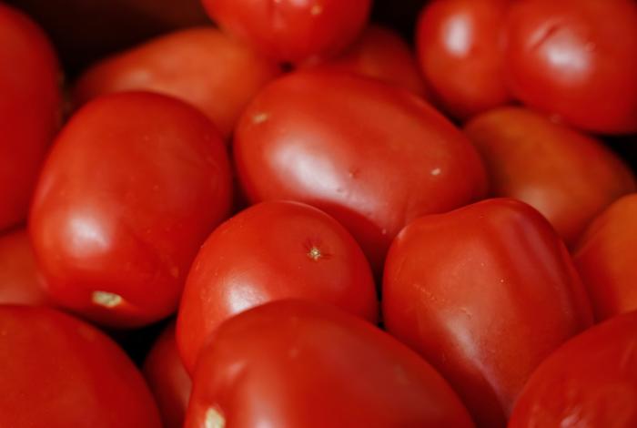 Sheinbaum rechaza arancel al jitomate mexicano impuesto por EU