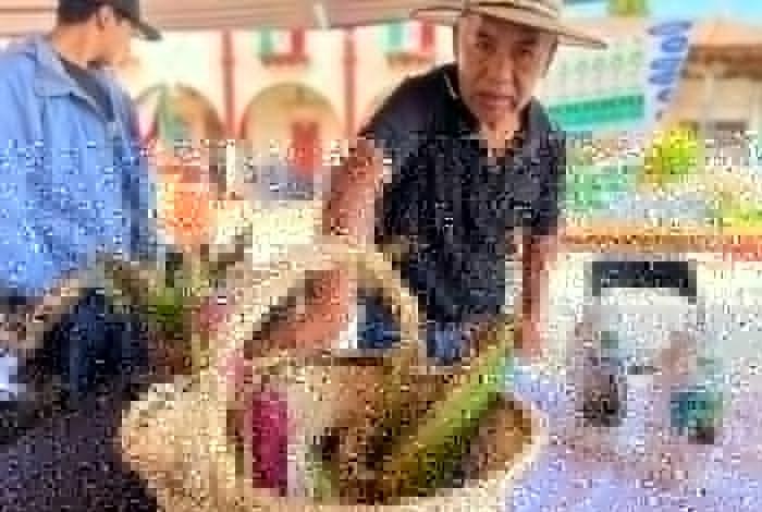 Sí Financia apuesta por la autonomía financiera de las comunidades indígenas