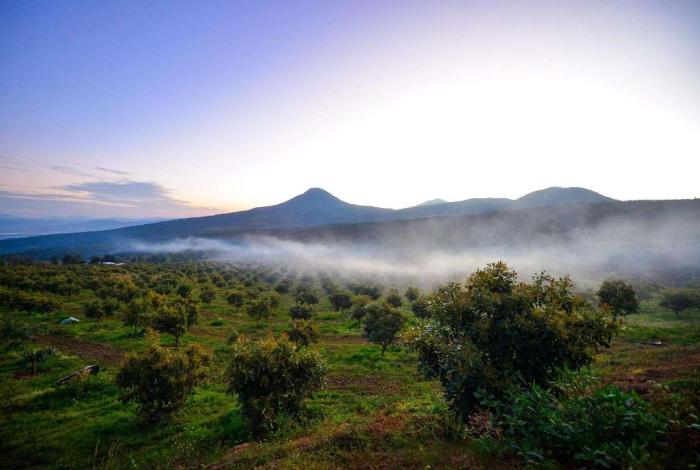 Sicuicho recibe 1.2 mdp para cuidado de sus bosques y detener la deforestación: Secma