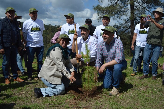 Sin bosques no hay vida: Bedolla al arrancar reforestación