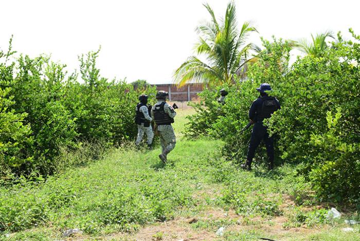 Soldados y Guardia Nacional se despliegan en zona limonera de Apatzingán
