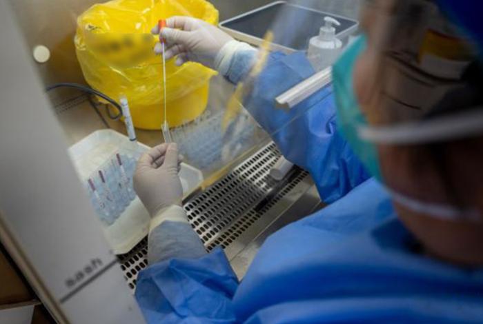 Ssa confirma el primer caso de la variante K de influenza A H3N2 en México