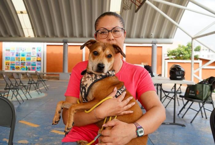 SSM abre registro para jornada gratuita de esterilización canina y felina en Morelia