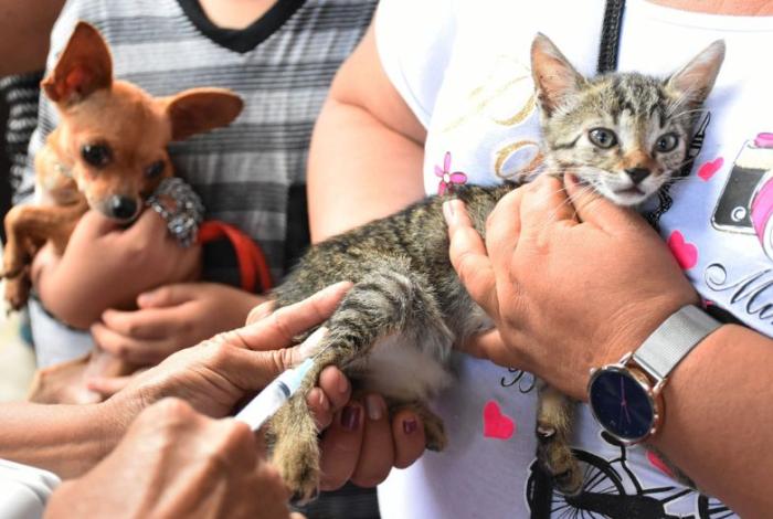 SSM llama a reforzar prevención en el hogar por el Día Mundial de las Zoonosis