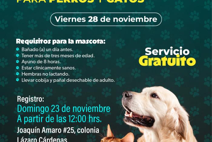 SSM lleva esterilización animal gratuita a Santa Ana Maya y Uruapan