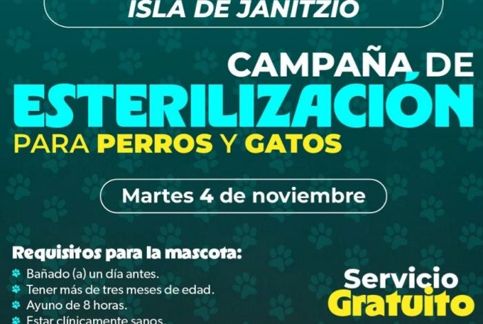 SSM llevará jornada gratuita de esterilización animal a la isla de Janitzio