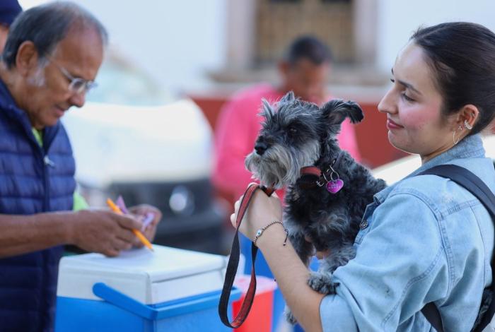 SSM realizará jornada de vacunación antirrábica para perros y gatos en Morelia