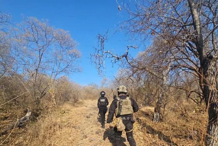 SSP destruye en Buenavista campamento ilícito y asegura 3 vehículos con reporte de robo