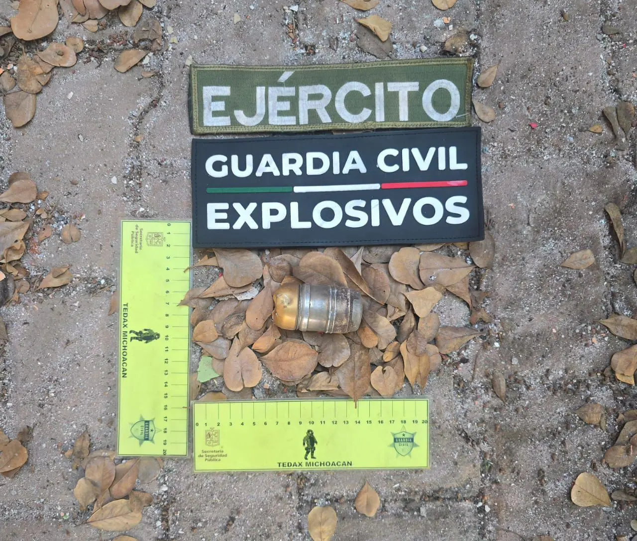 SSP y Defensa desactivan 7 artefactos explosivos en Buenavista