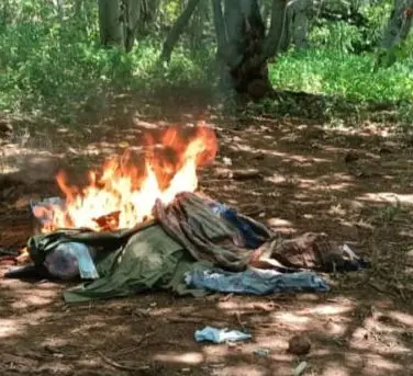 SSP y Defensa destruyen campamento de la delincuencia organizada