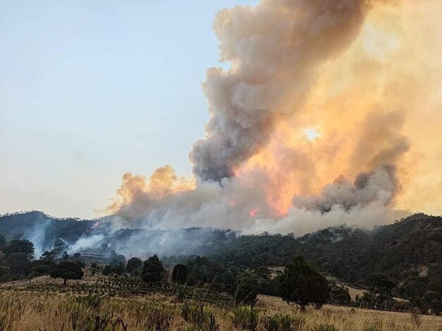 Suman 511 incendios forestales en 2024, han acabado con 24 mil has