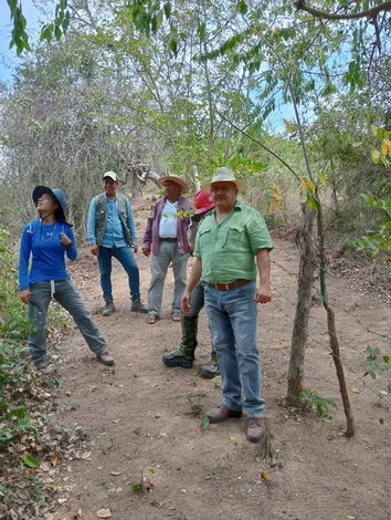 Supervisan acciones de prevención de incendios y reforestación en predios de Lázaro Cárdenas