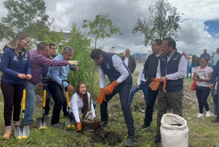 Tala clandestina: la gran herida al sur de Morelia