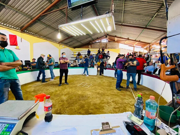 Te decimos dónde inicia y la ruta de la marcha en Morelia, en defensa de las peleas de gallos