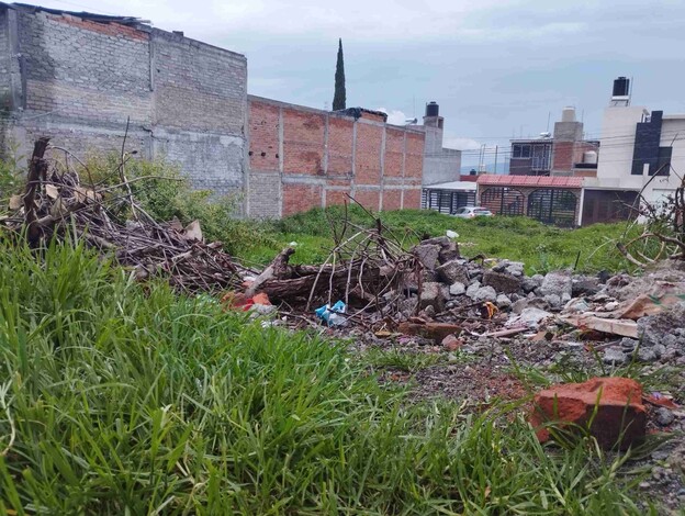 «Tengo miedo de las ratas y zancudos», denuncia la señora Mónica González en Jardines del Rincón