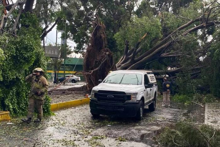 Tenía 42 años el motociclista que murió aplastado por un árbol durante tormenta en Zamora