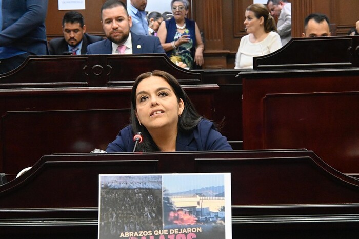 Tere Herrera llama a la unidad para enfrentar crisis de seguridad en Michoacán y el país