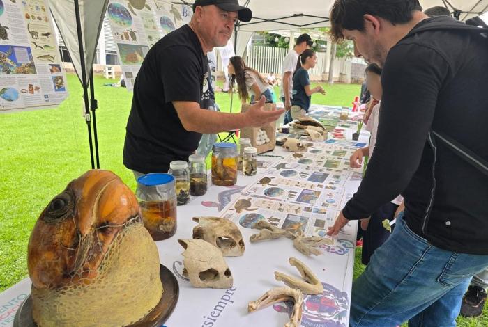 TIANGUIS DE LA CIENCIA DE LA UMSNH, ESTARÁ DIRIGIDO A LAS PRIMERAS INFANCIAS