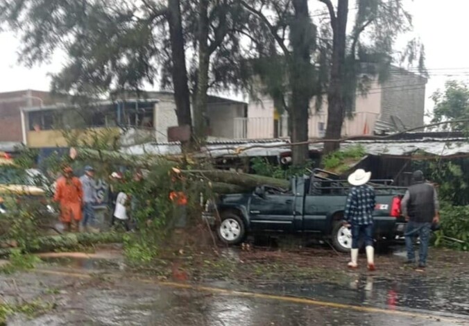 Tormenta en Los Reyes provoca caída de árboles y encharcamientos