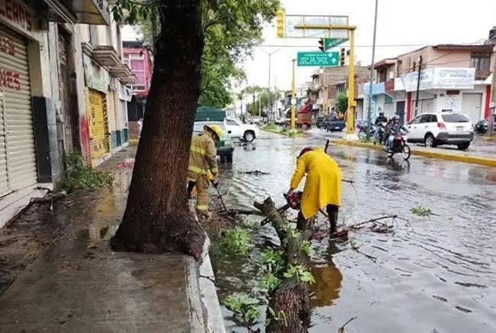 Tormenta en Morelia: rayos, encharcamientos y caída de árboles afectan en 6 zonas