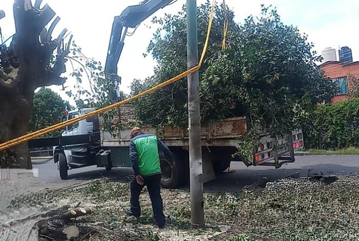 Trabajadores municipales dan mantenimiento a diversos puntos de la ciudad de Morelia