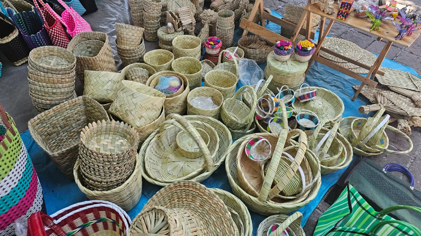 Tradición que no se seca: el tule como sustento y herencia familiar