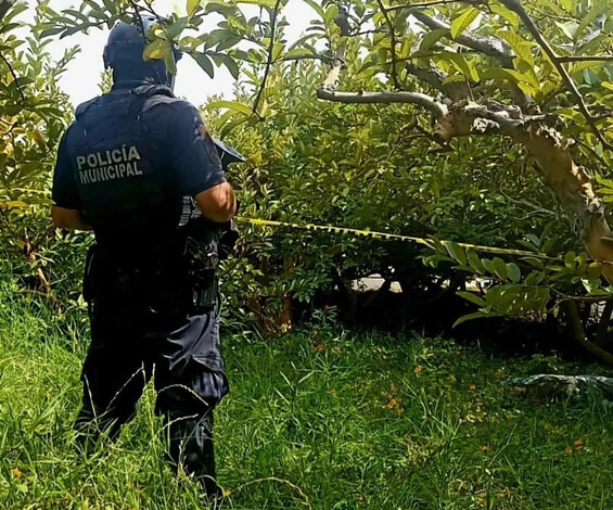 Trágico asesinato de un adulto mayor en huerto de guayabas