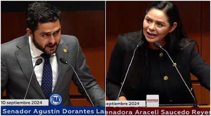 «Traidores», llama el PAN en el Senado a Araceli Saucedo y José Sabino