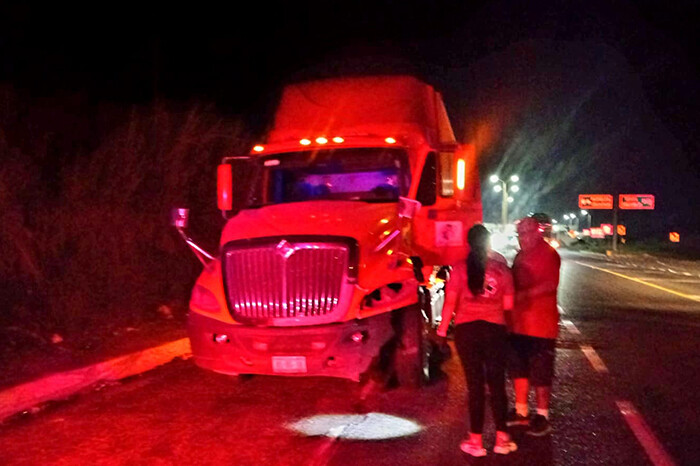 Tráiler impacta contra una vaca en la autopista Siglo XXI; el animal murió por el impacto