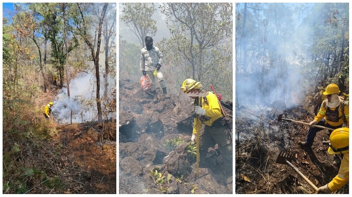 Tras 36 horas, controlan incendio forestal en la Barranca del Cupatitzio y el Zapién