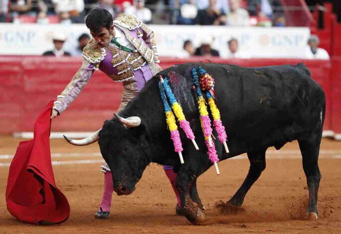 Tribunal revoca suspensión provisional de corridas de toros