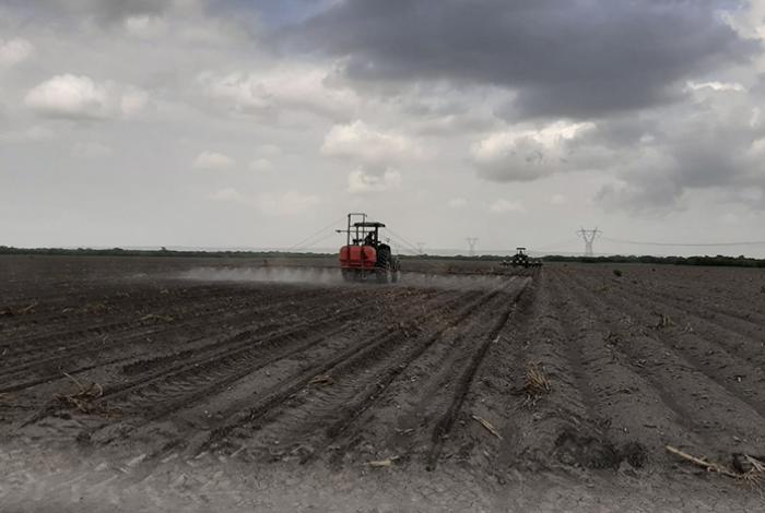 Trump permite más trabajadores agrícolas extranjeros pero rebaja hasta el 32 % sus sueldos