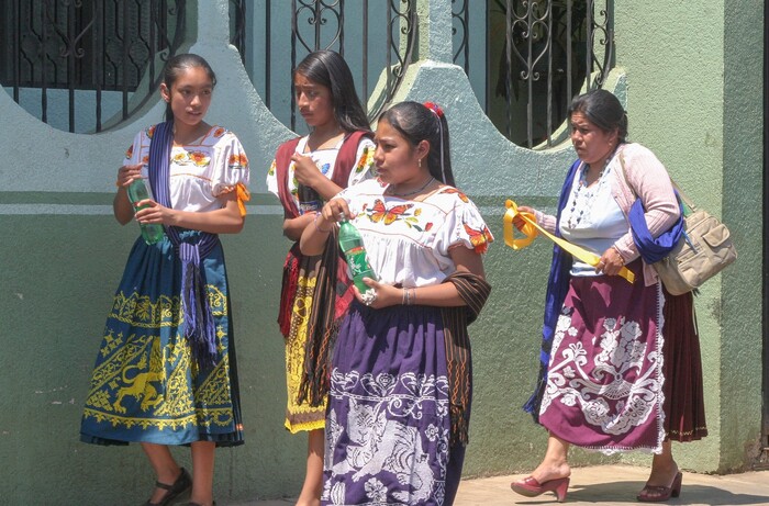 UIIM al resguardo de sabiduría ancestral de pueblos indígenas