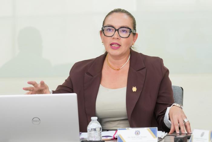 UMSNH necesita mejorar infraestructura, la observación de programas acreditados