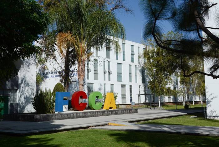 UMSNH pone al alcance de las y los egresados del área económico administrativa opciones para seguirse preparando