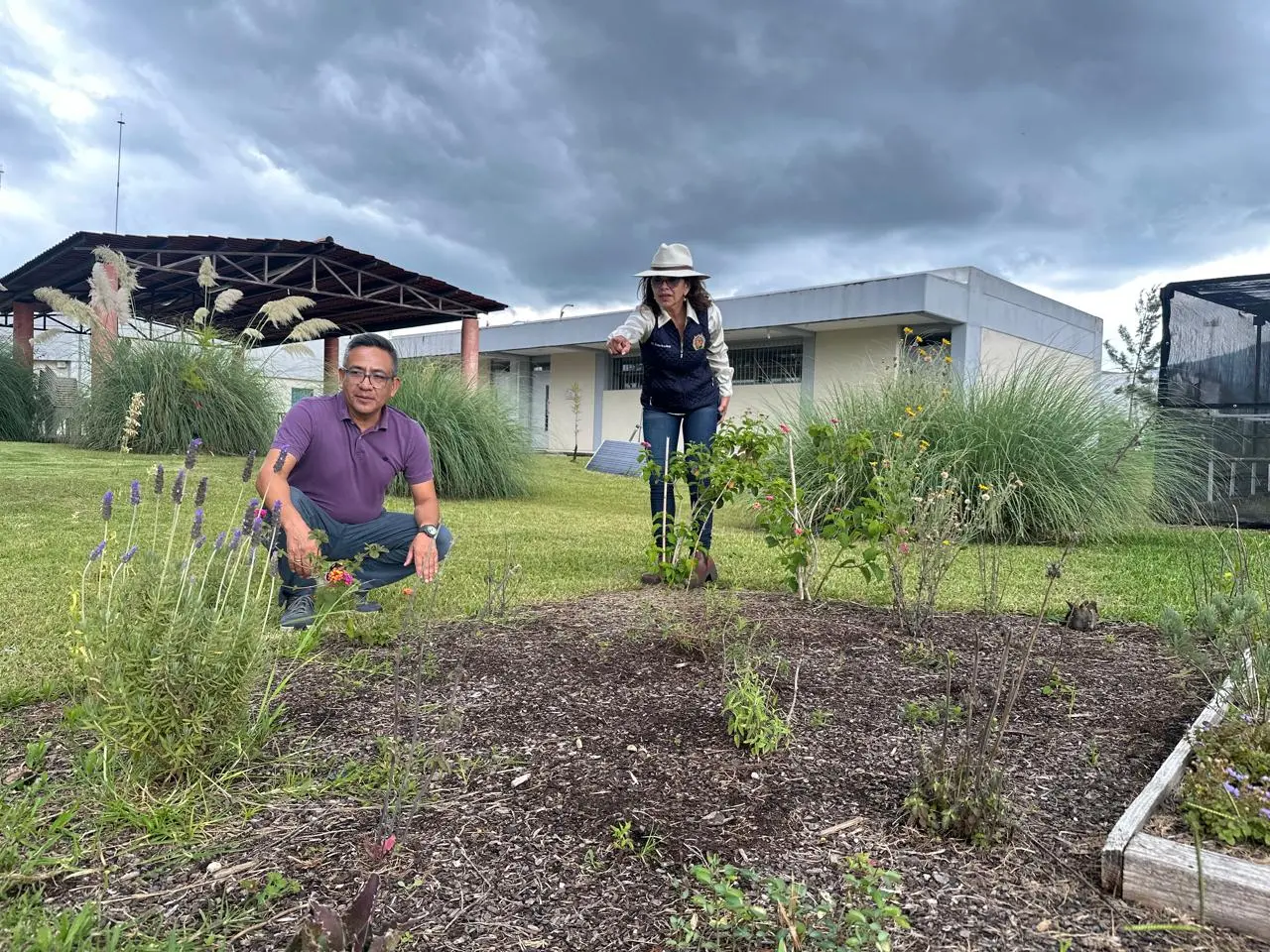 UMSNH pone en marcha proyecto de “Jardín para polinizadores”, busca abonar en el cuidado del medio ambiente